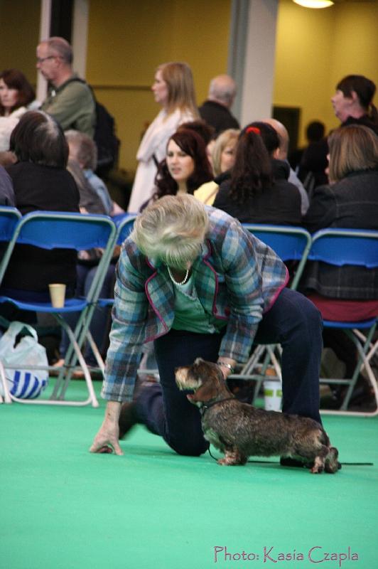 Crufts2011_2 1099.jpg